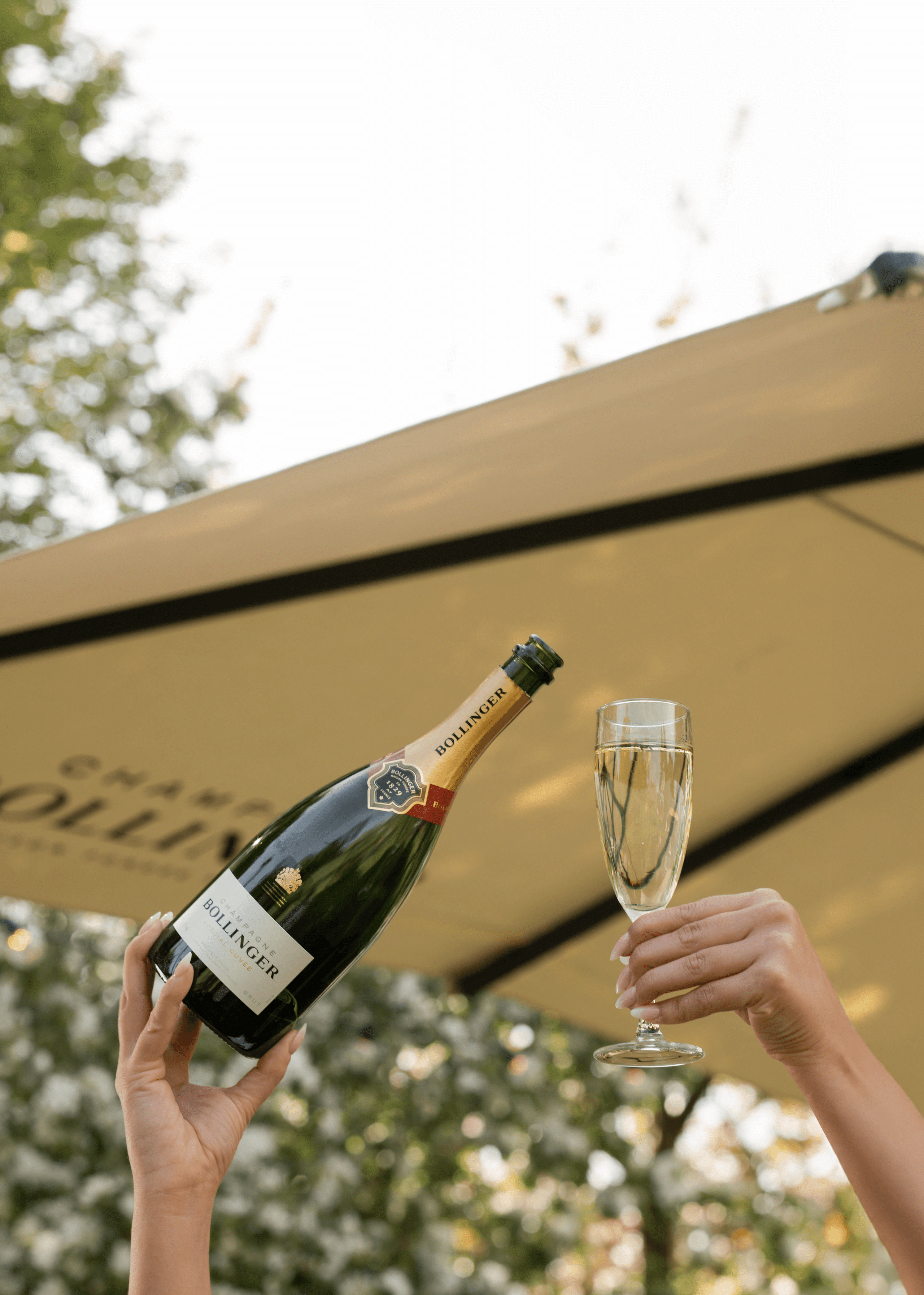 Bollinger Garden poster