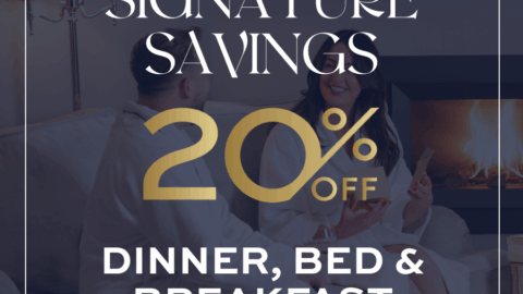 A man and woman in robes sit and talk by a fireplace in a cozy room. Text overlay advertises 20% off dinner, bed, and breakfast as a limited-time offer.